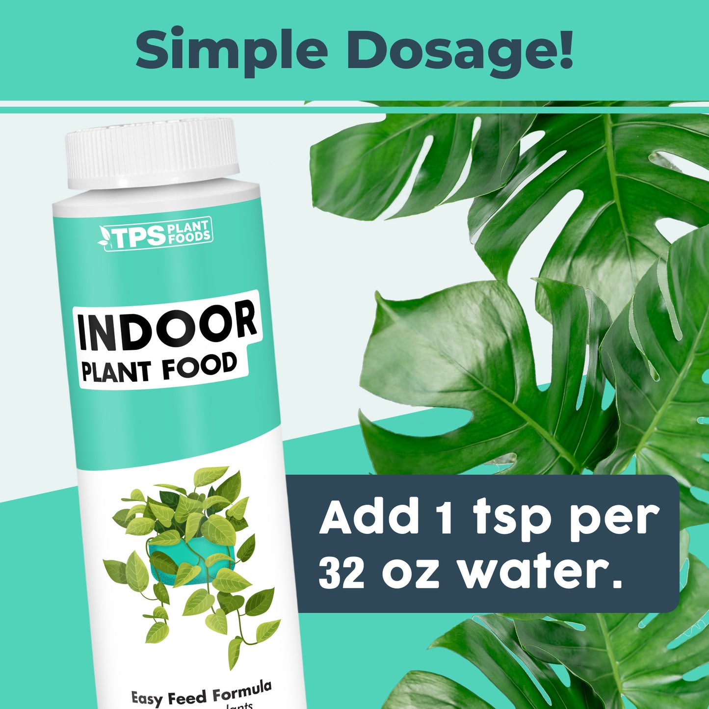 Indoor Plant Food