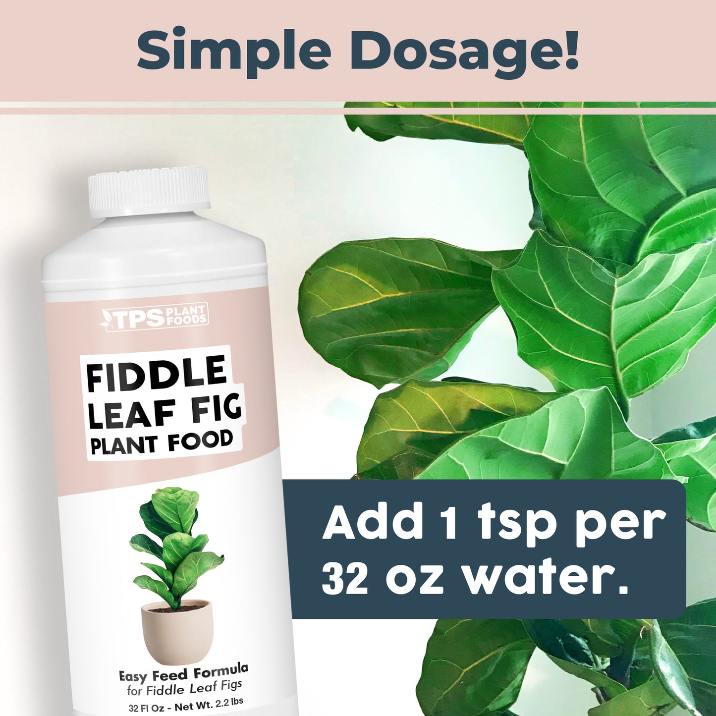 Fiddle Leaf Fig Plant Food