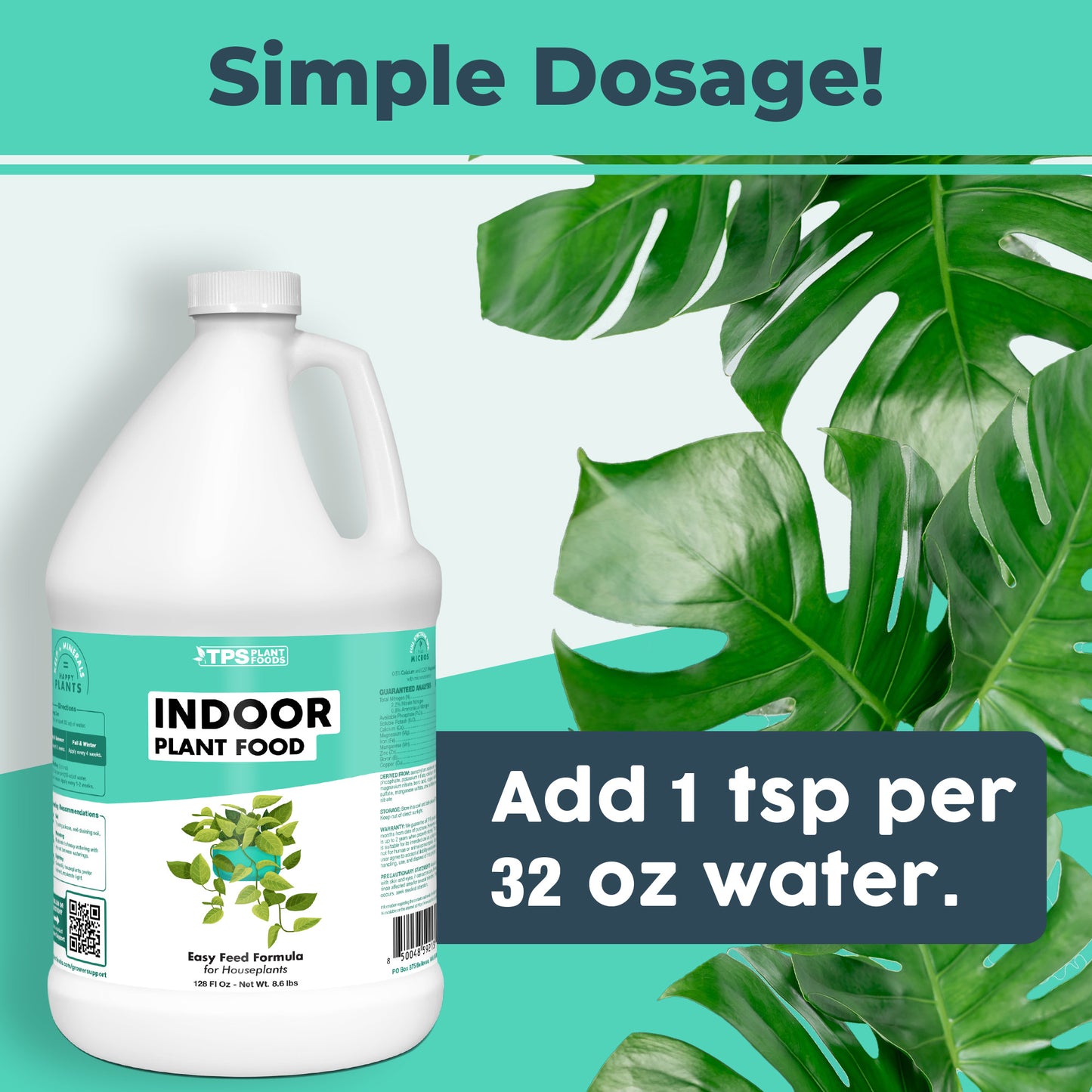 Indoor Plant Food