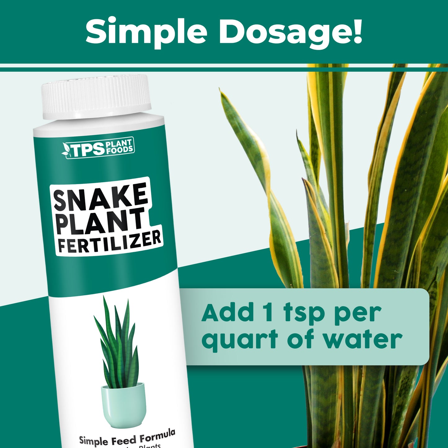 Snake Plant Fertilizer