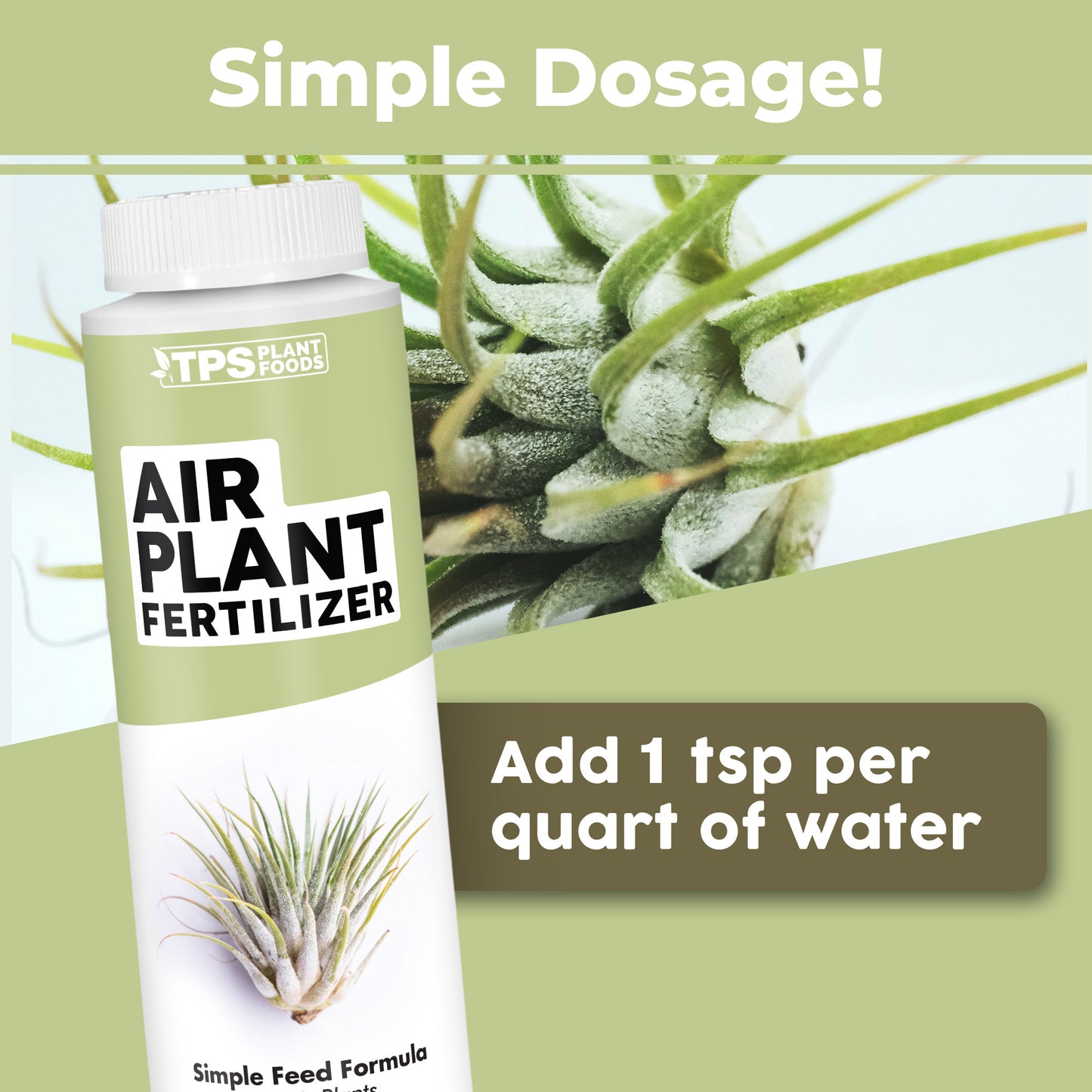 Air Plant Fertilizer