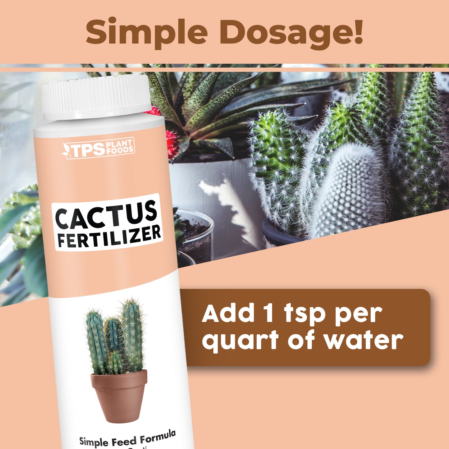 Cactus Fertilizer