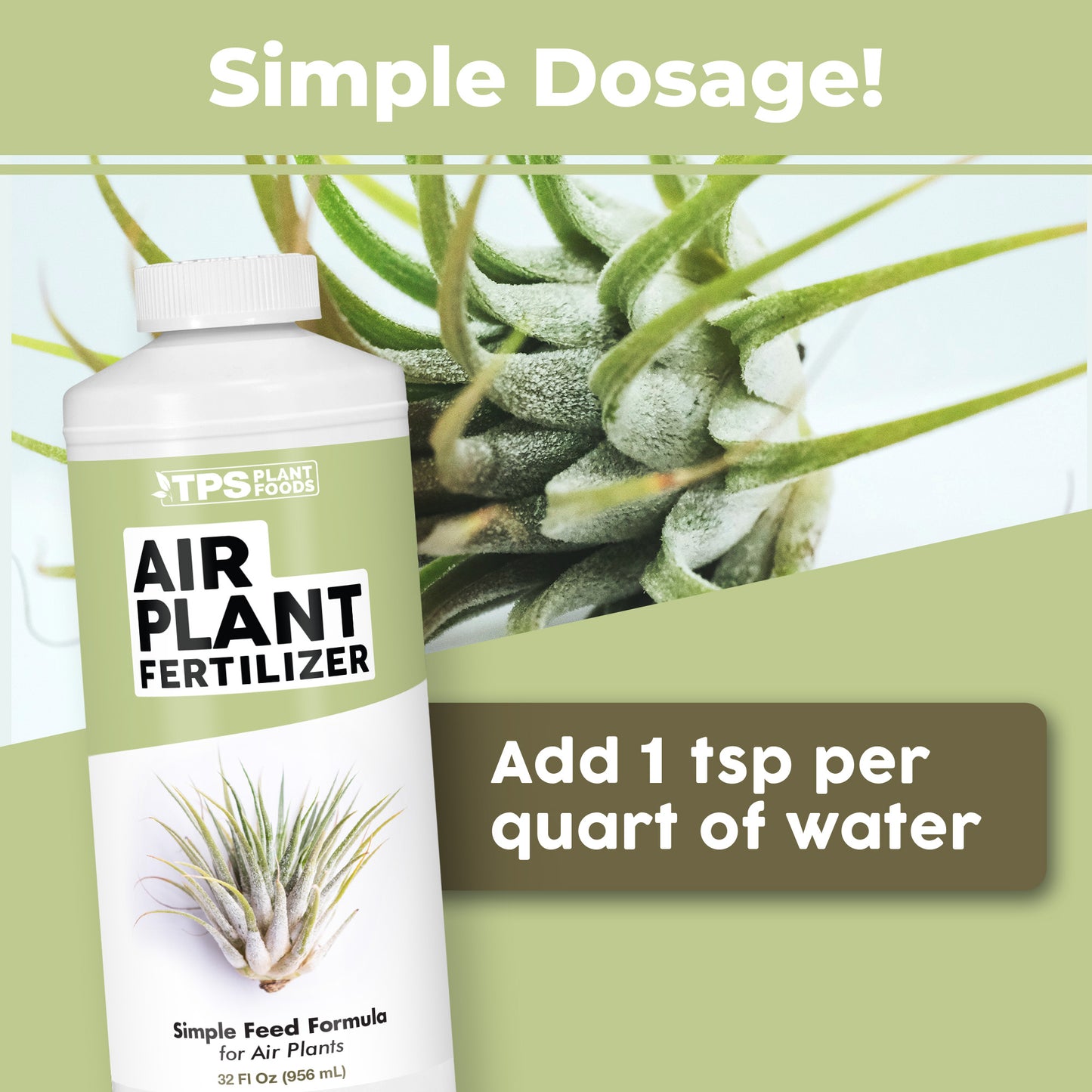 Air Plant Fertilizer