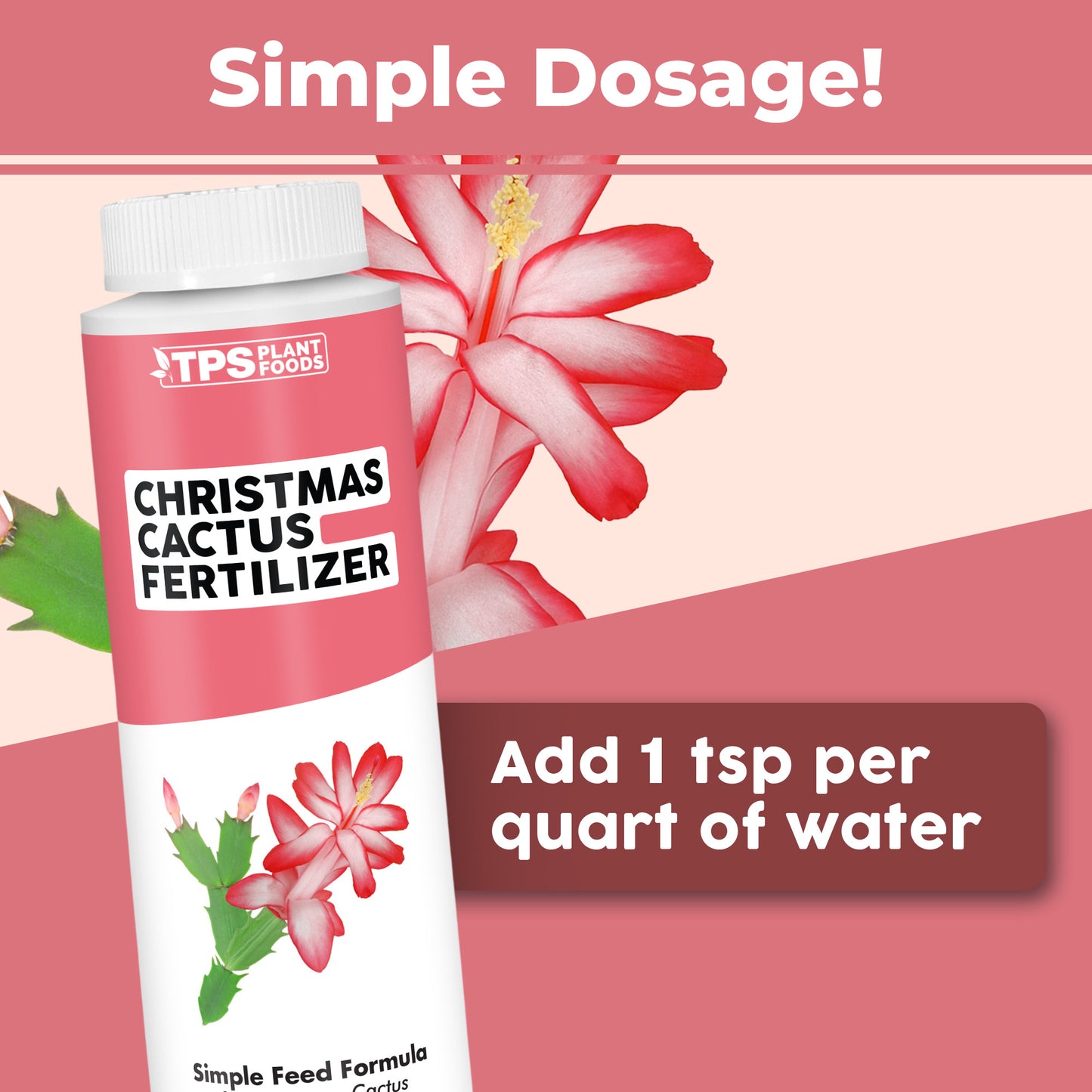 Christmas Cactus Fertilizer
