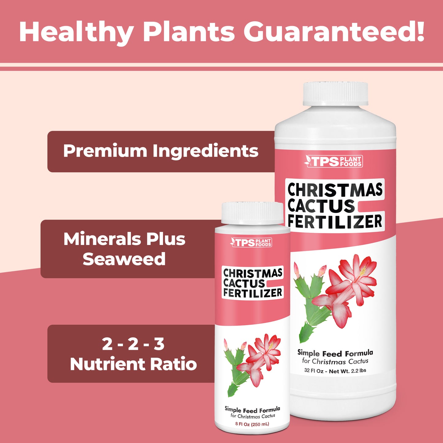 Christmas Cactus Fertilizer