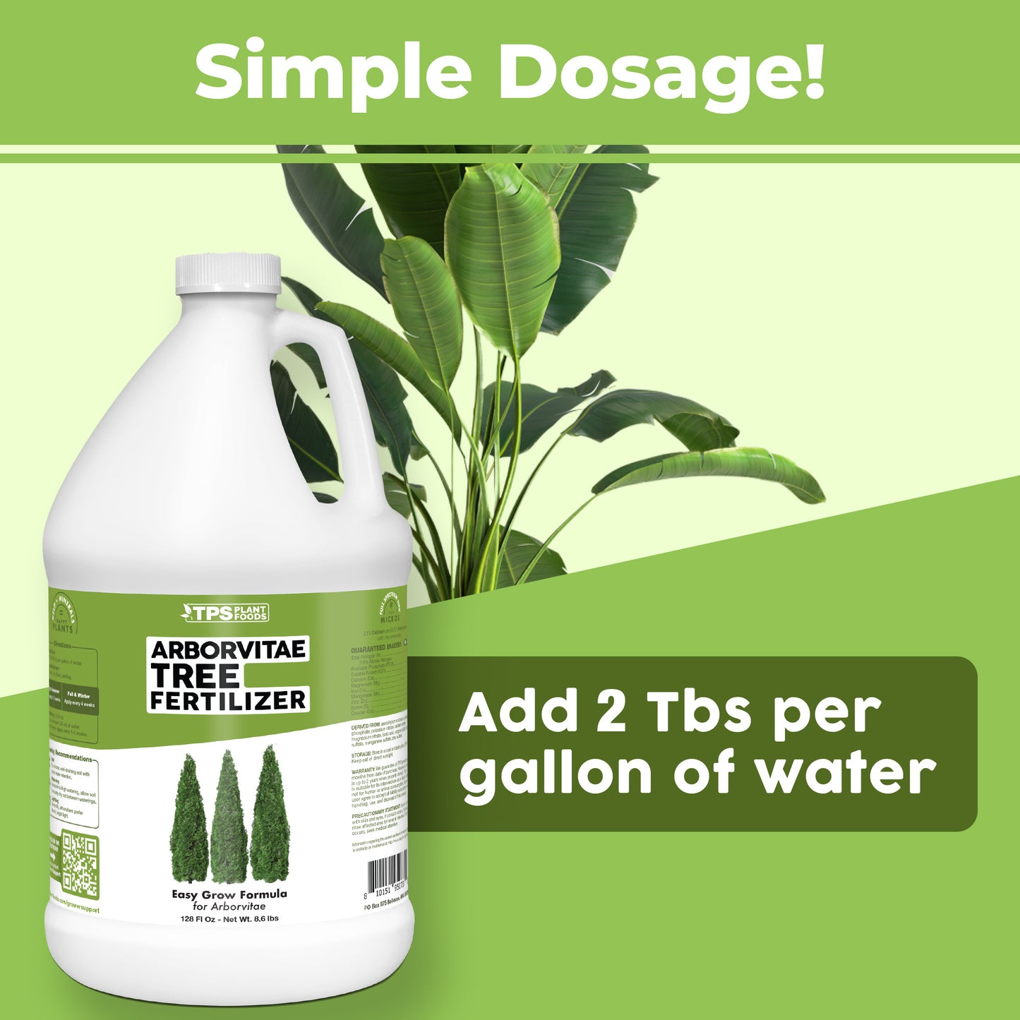Arborvitae Fertilizer