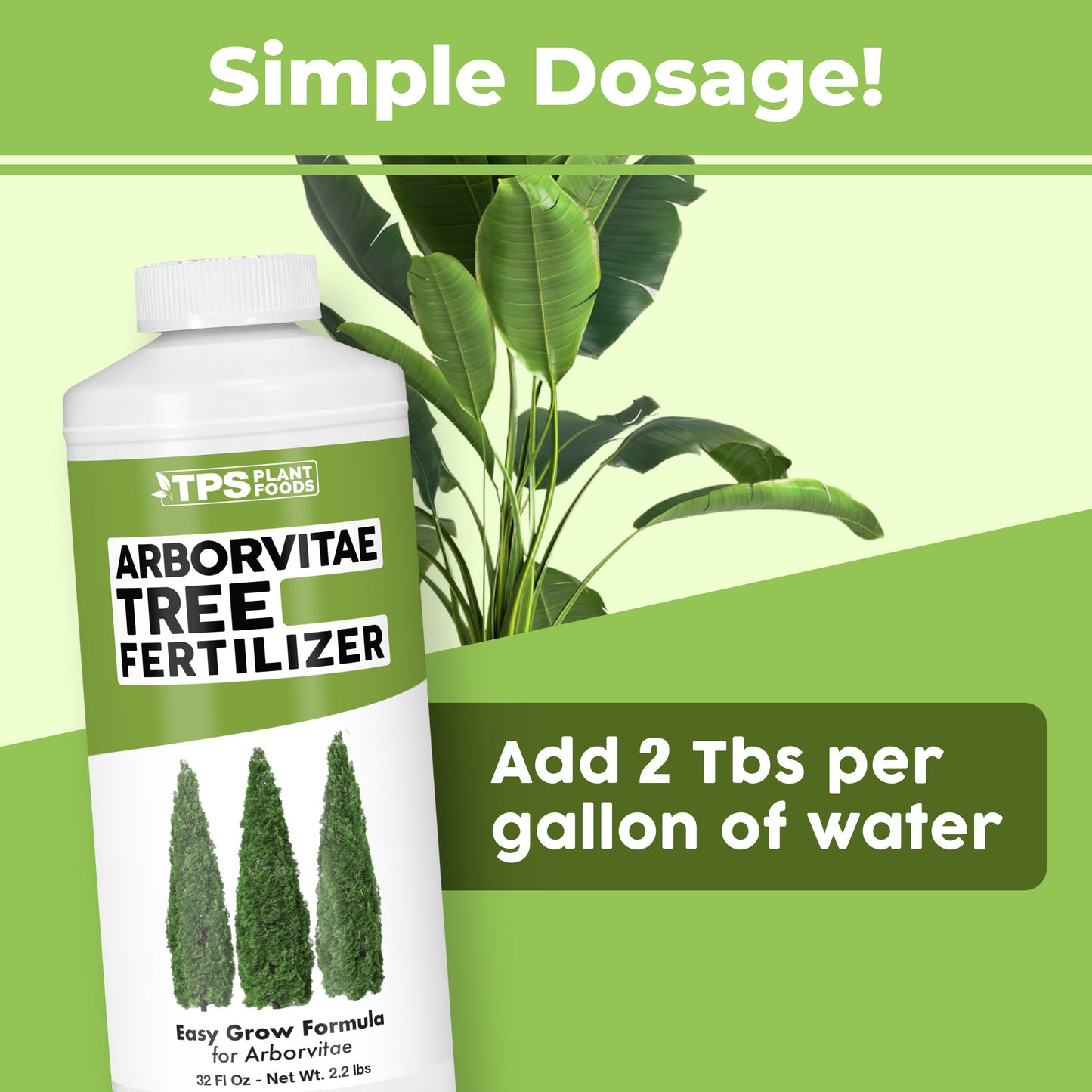 Arborvitae Fertilizer