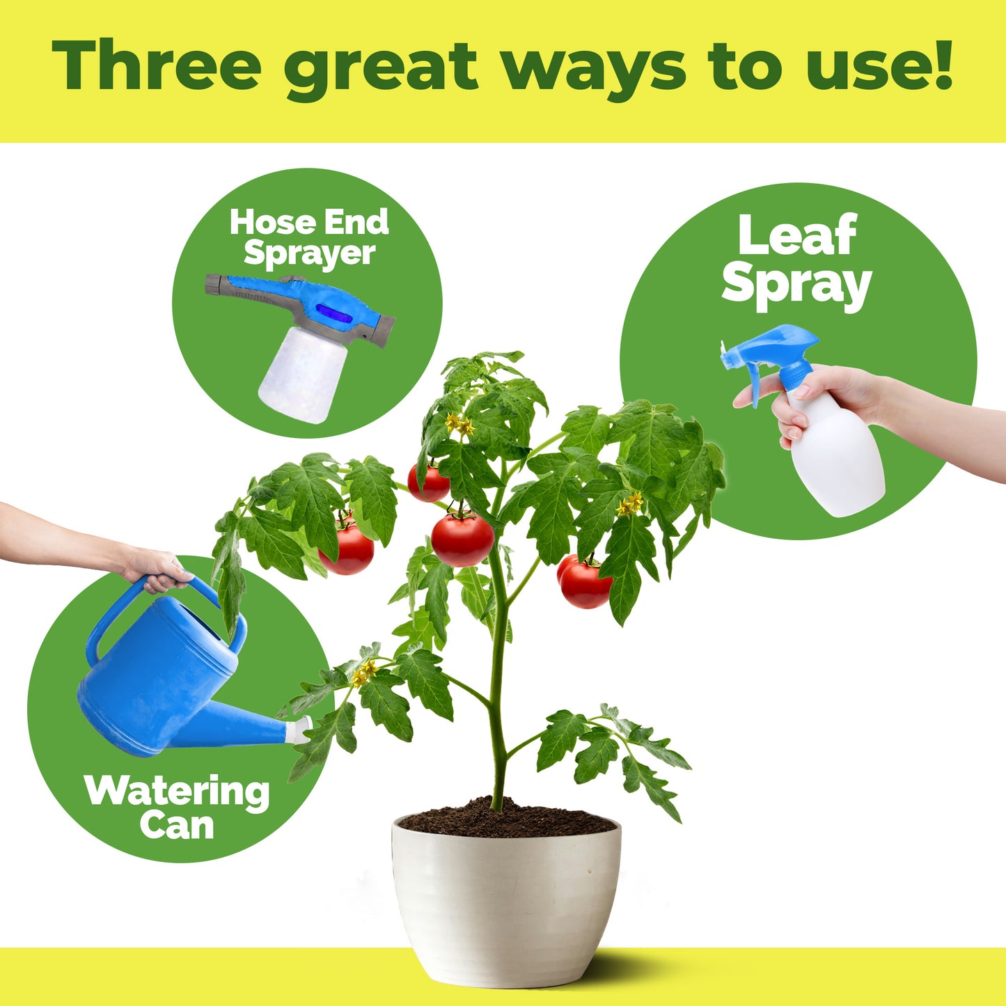 All Purpose Fertilizer