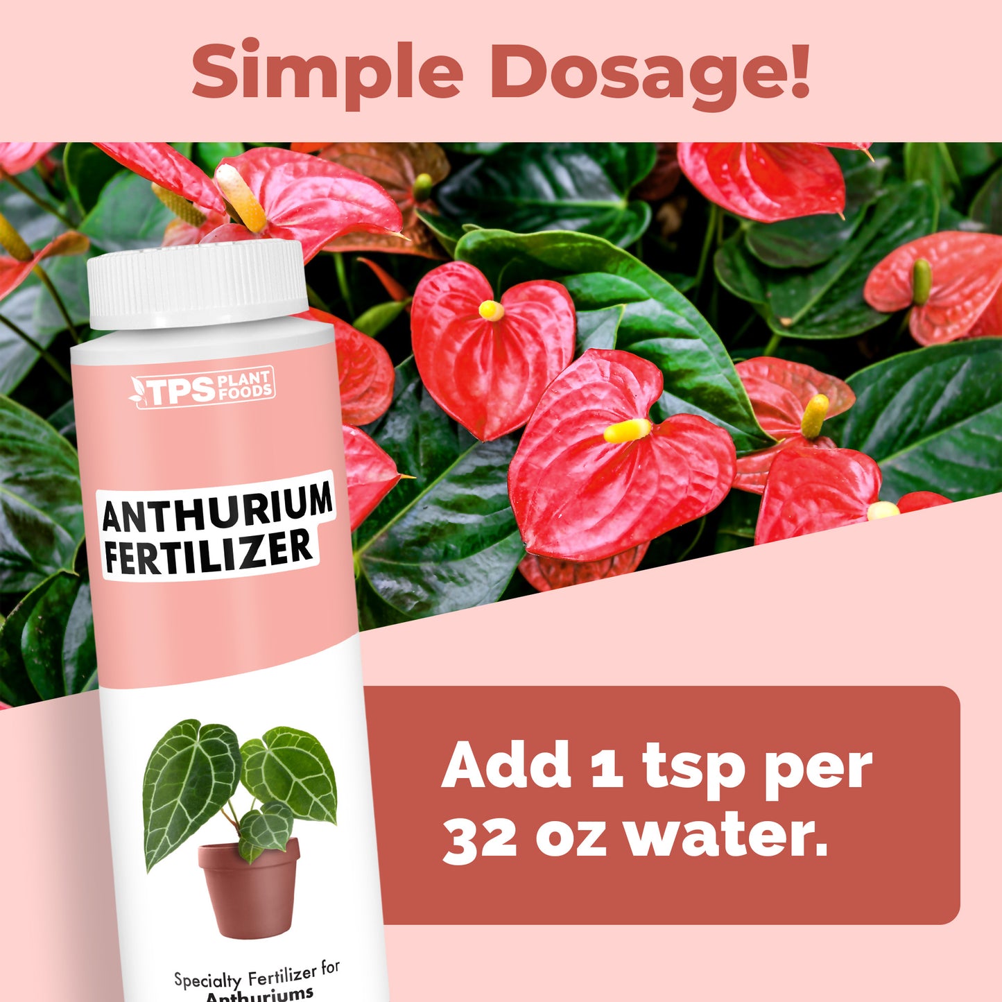 Anthurium Fertilizer
