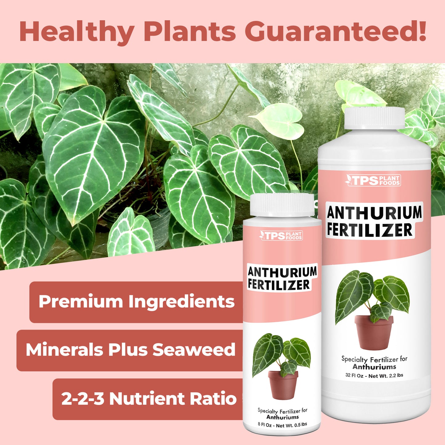 Anthurium Fertilizer