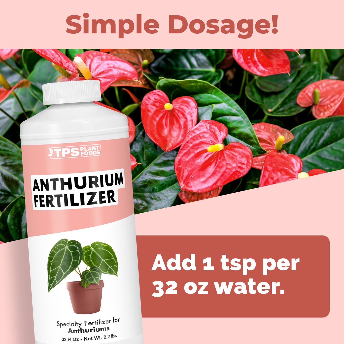 Anthurium Fertilizer