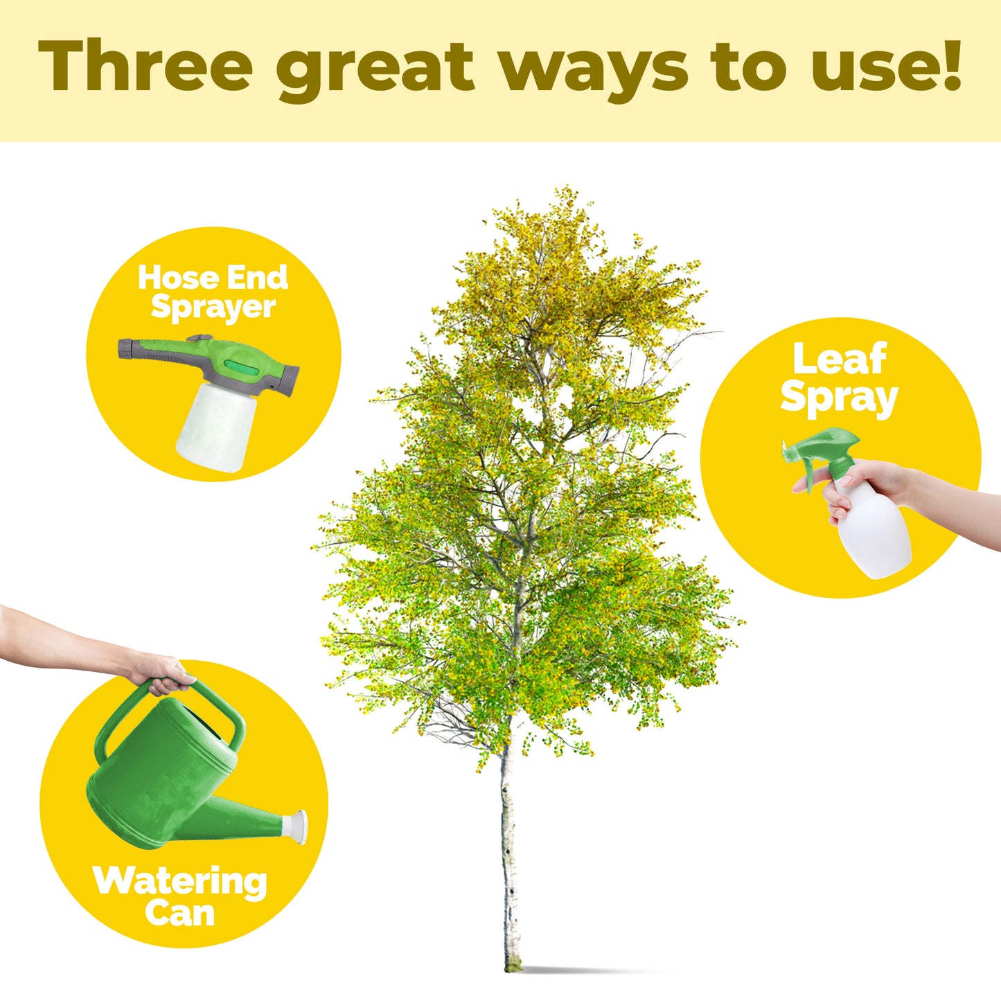 Aspen Tree Fertilizer