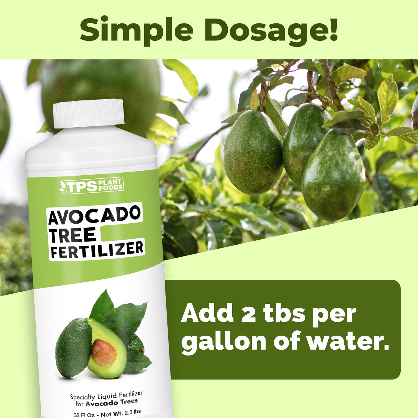 Avocado Tree Fertilizer