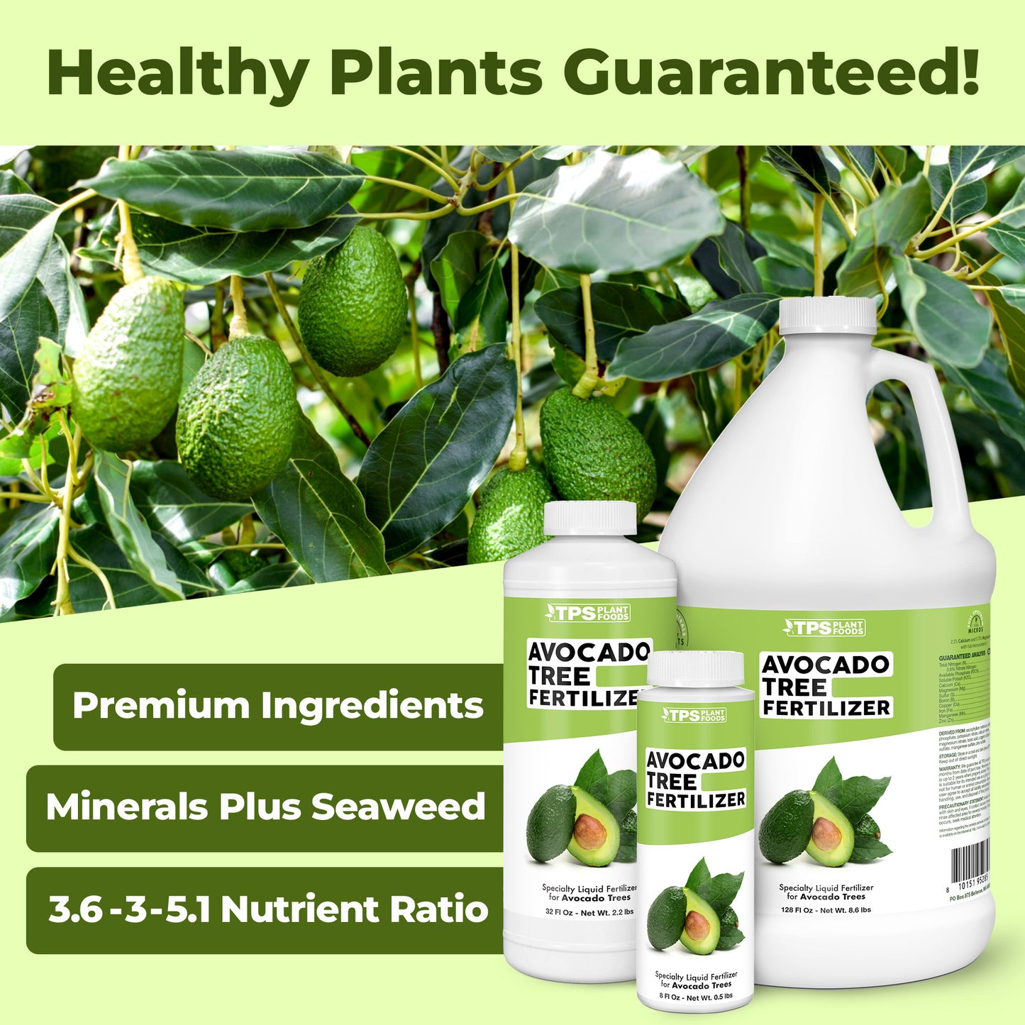 Avocado Tree Fertilizer