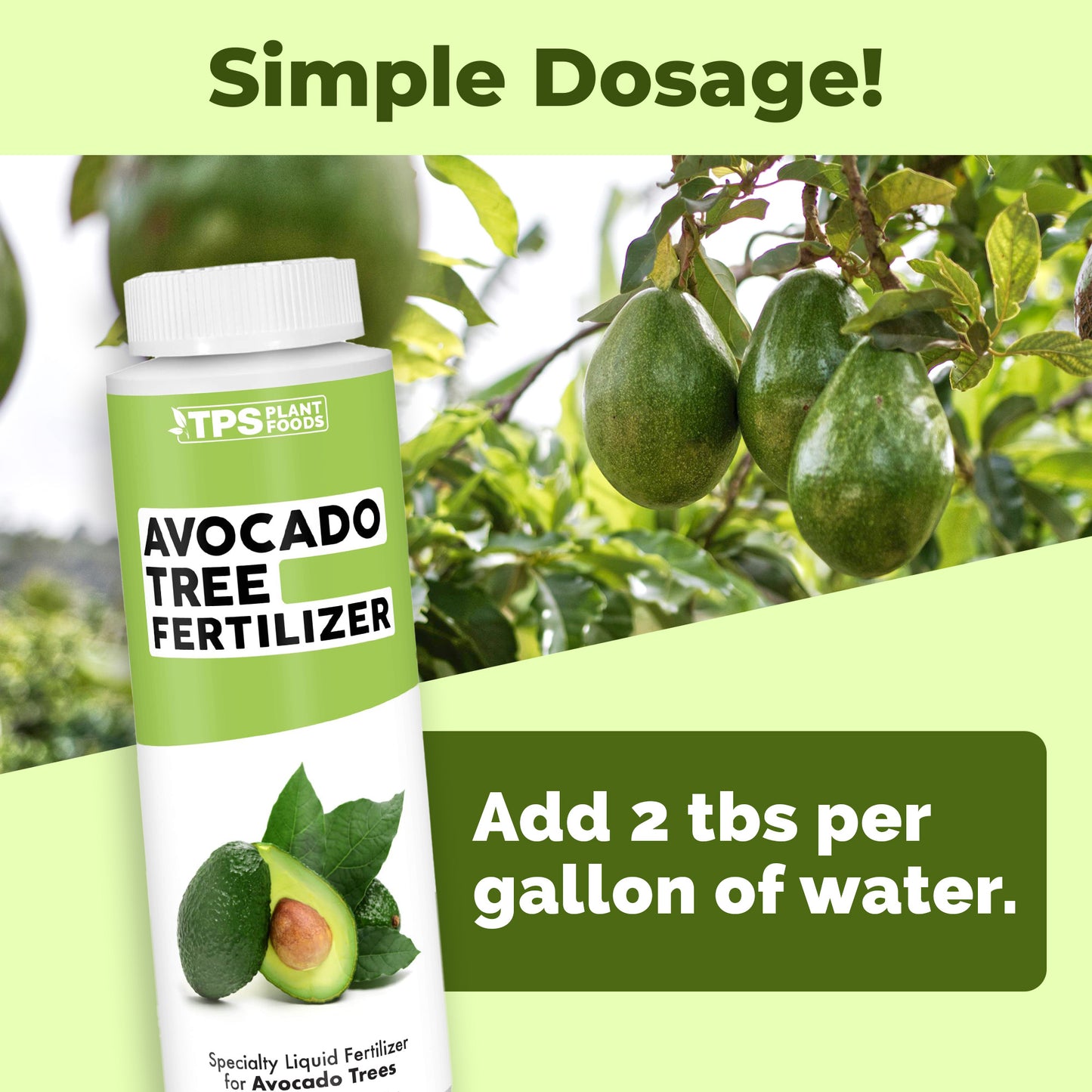 Avocado Tree Fertilizer