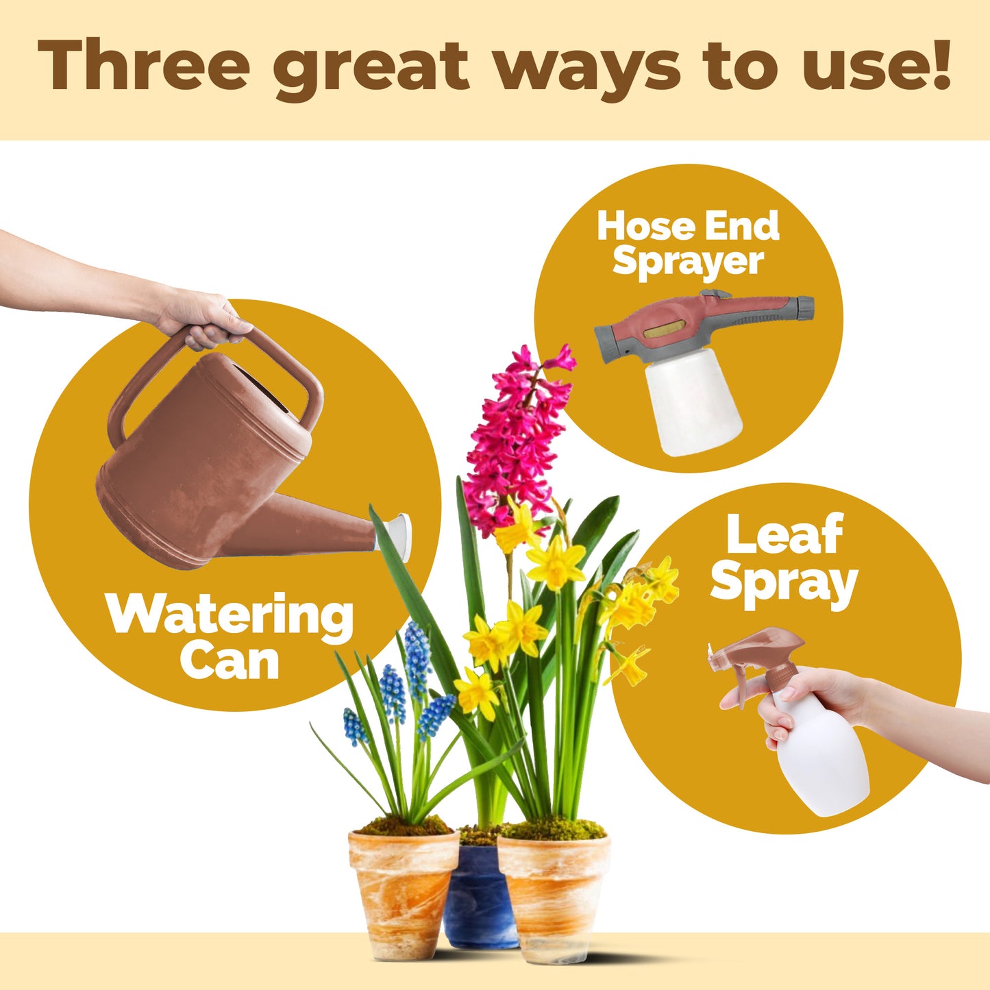 Bulb Fertilizer
