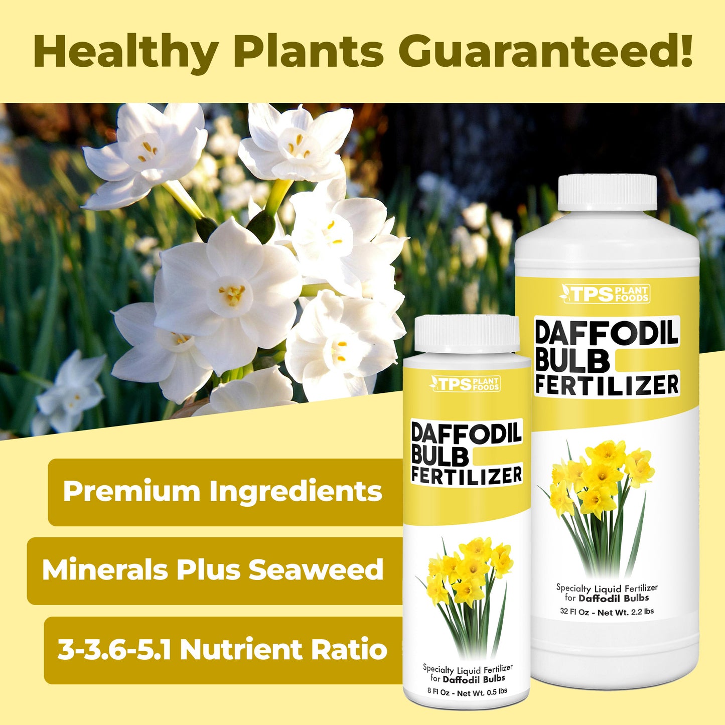 Daffodil Bulb Fertilizer