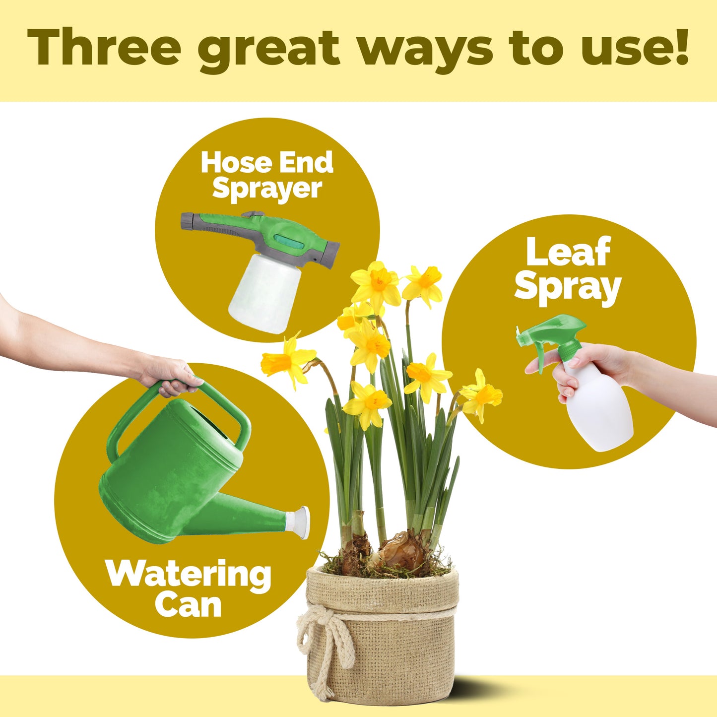 Daffodil Bulb Fertilizer