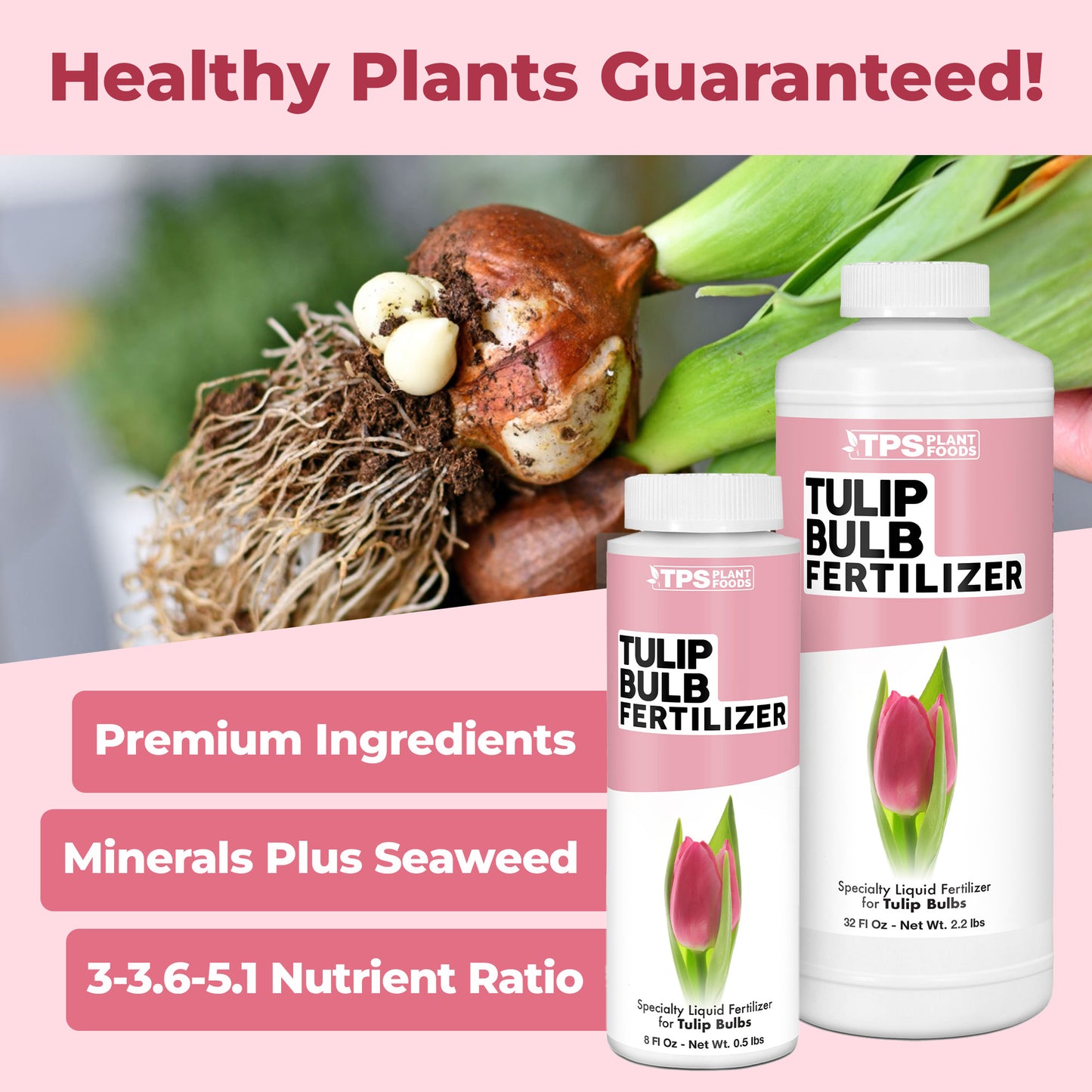 Tulip Bulb Fertilizer