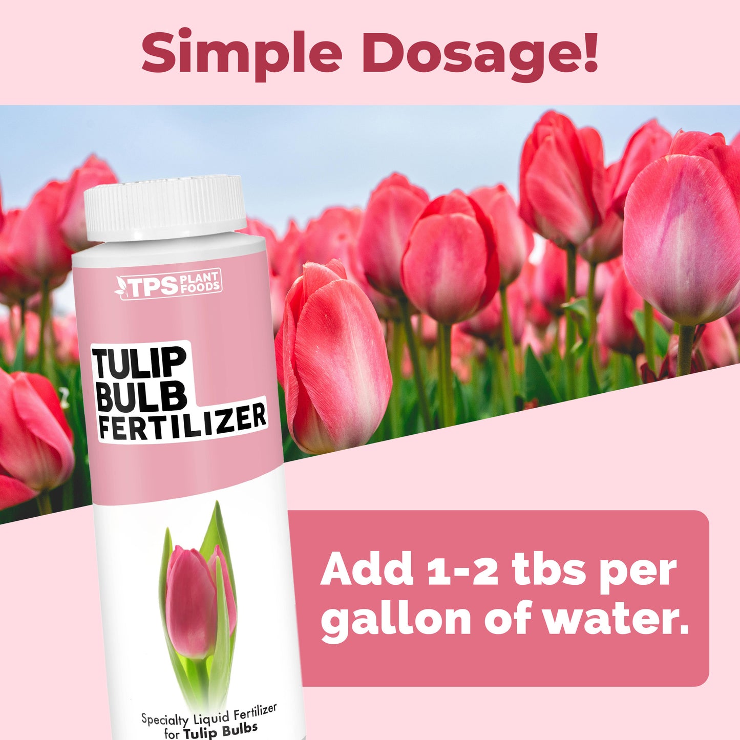 Tulip Bulb Fertilizer