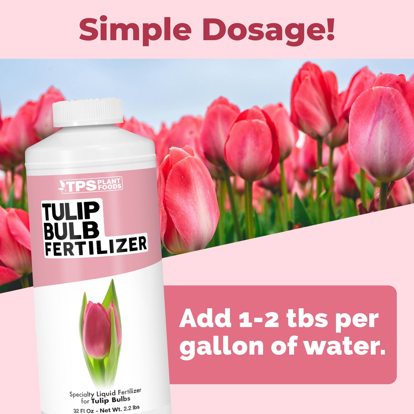 Tulip Bulb Fertilizer