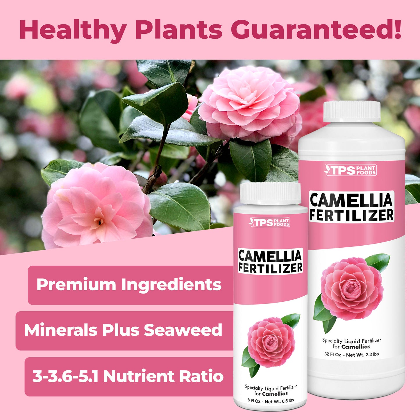 Camellia Fertilizer