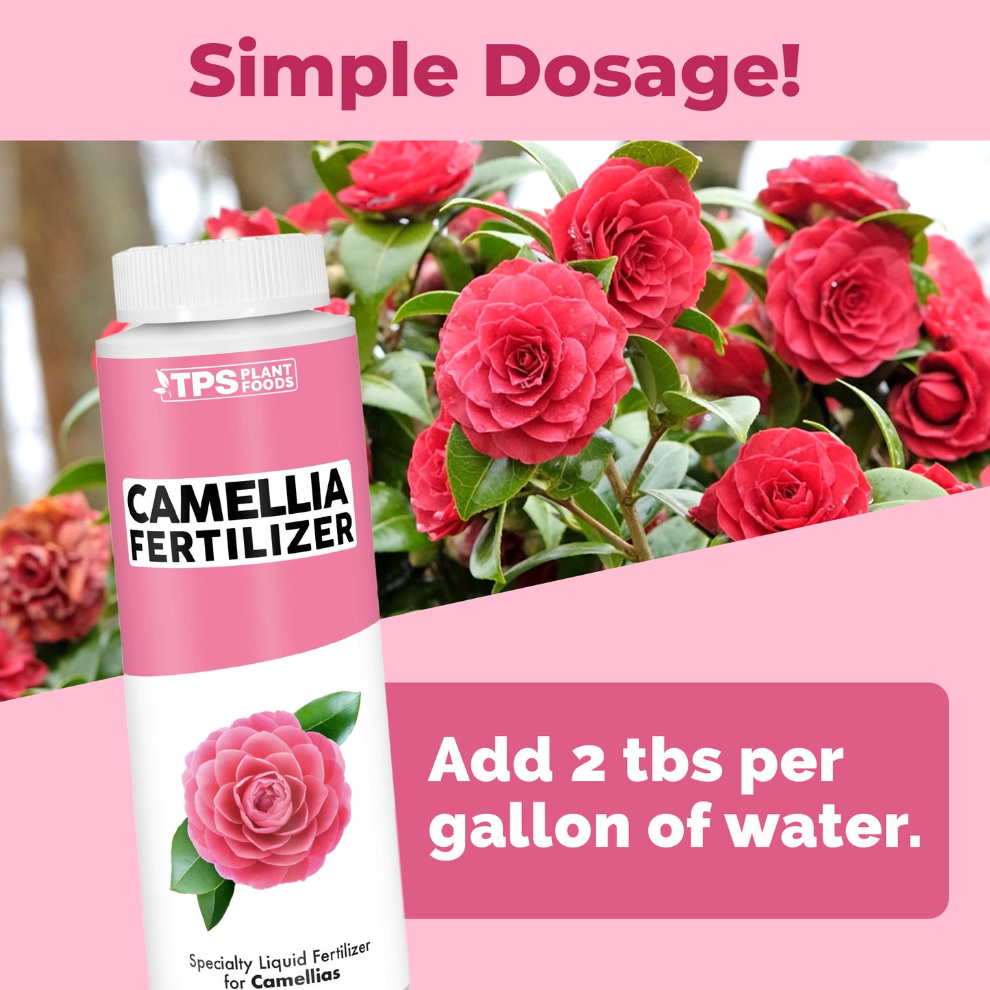 Camellia Fertilizer