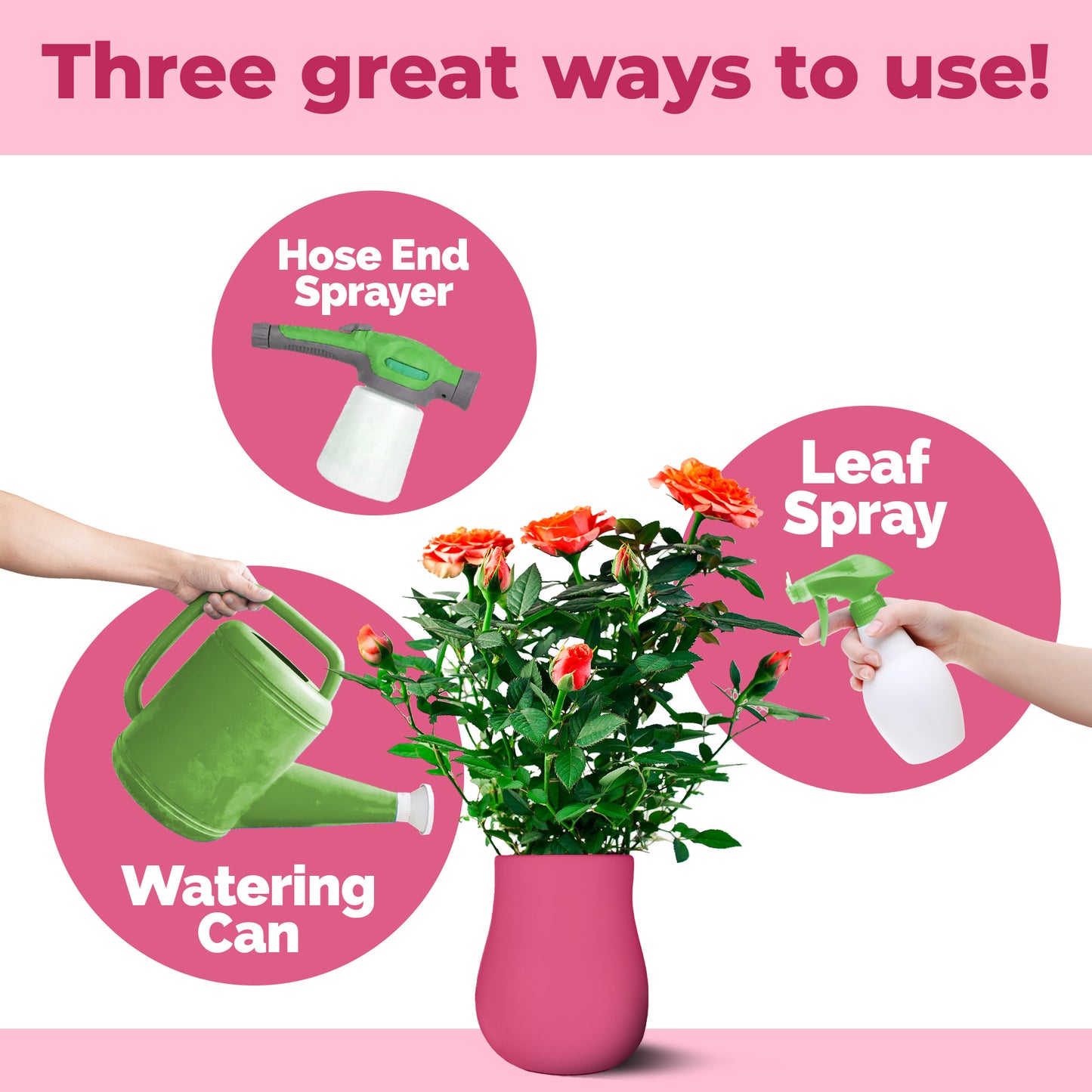 Camellia Fertilizer