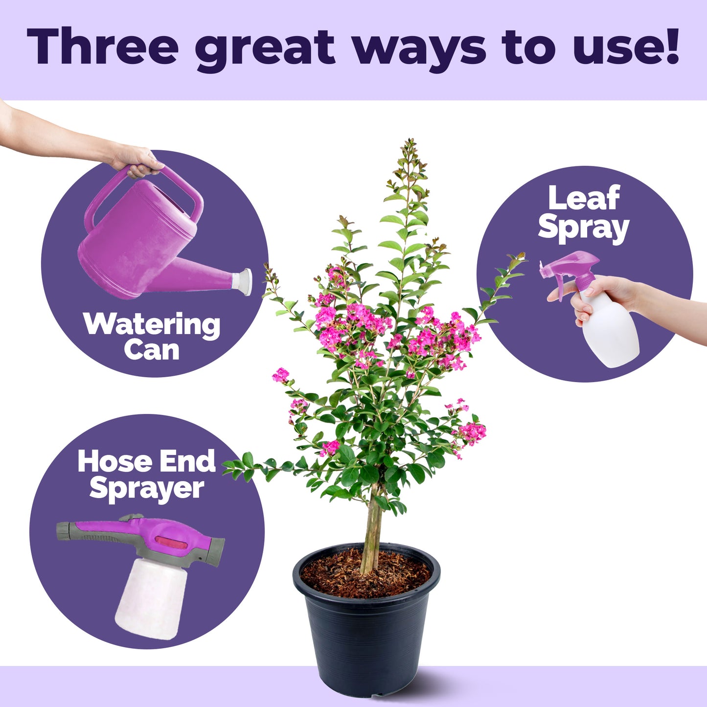 Crepe Myrtle Fertilizer