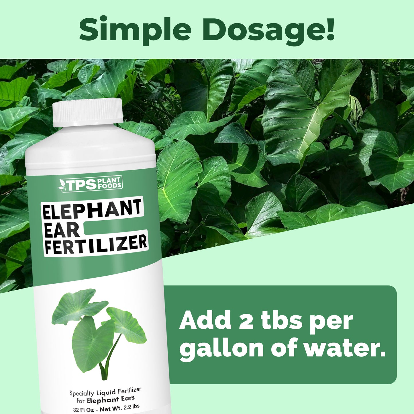 Elephant Ear Fertilizer