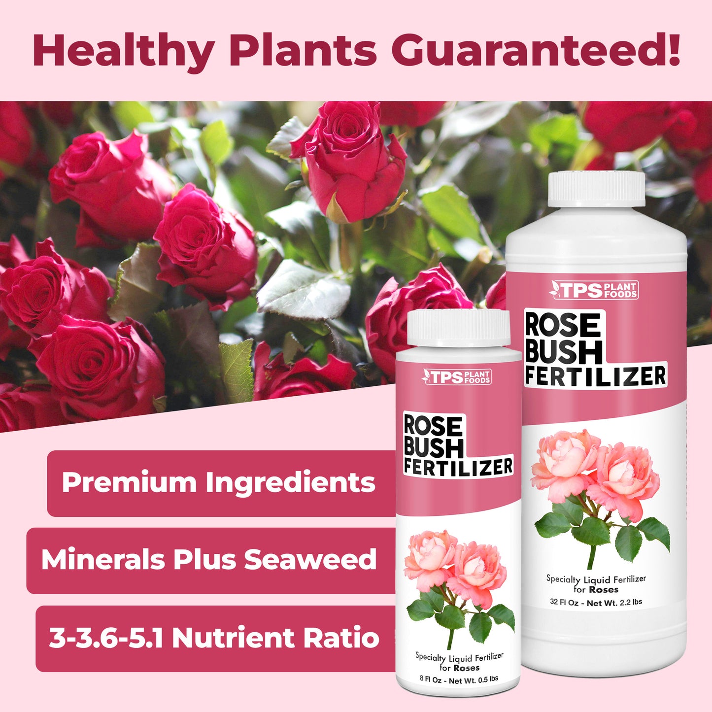Rose Bush Fertilizer