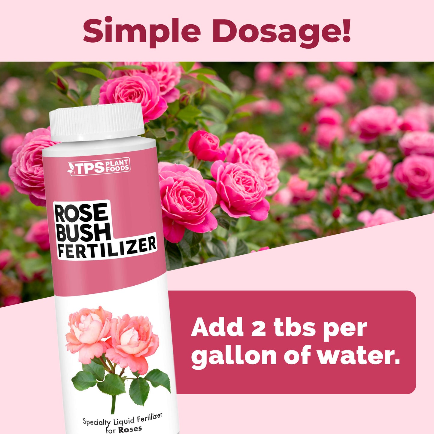 Rose Bush Fertilizer