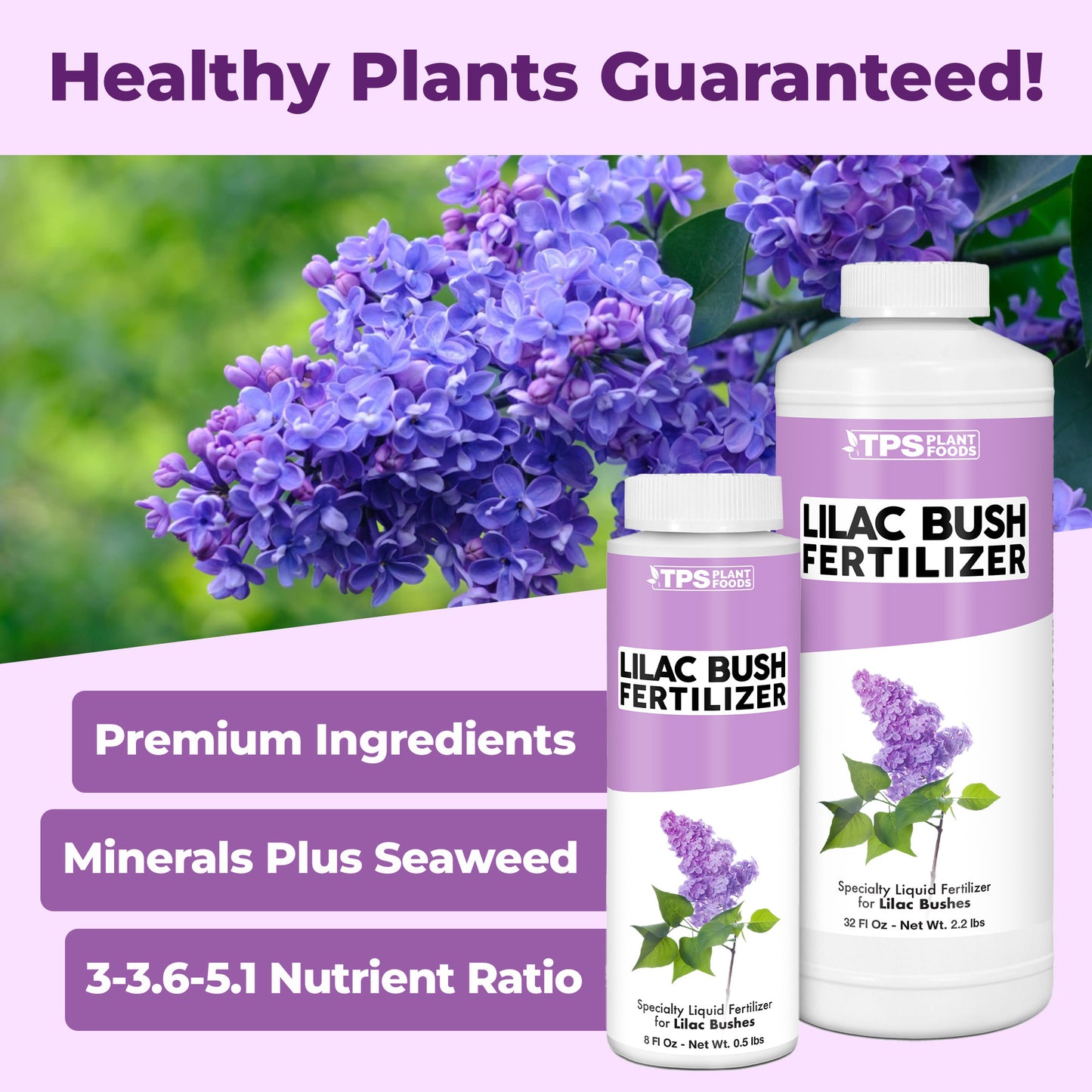 Lilac Bush Fertilizer