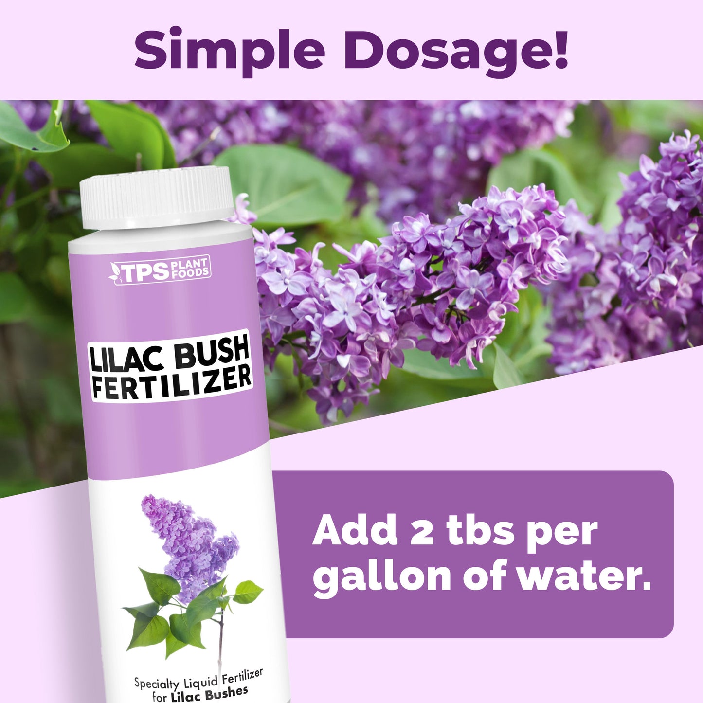 Lilac Bush Fertilizer