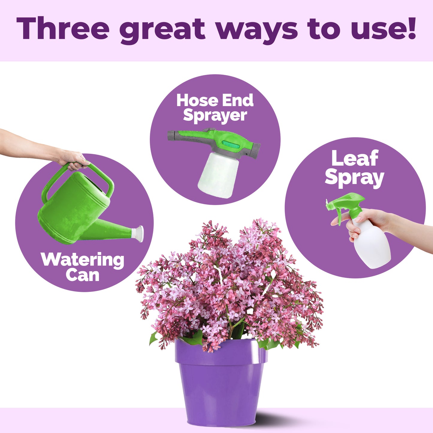 Lilac Bush Fertilizer