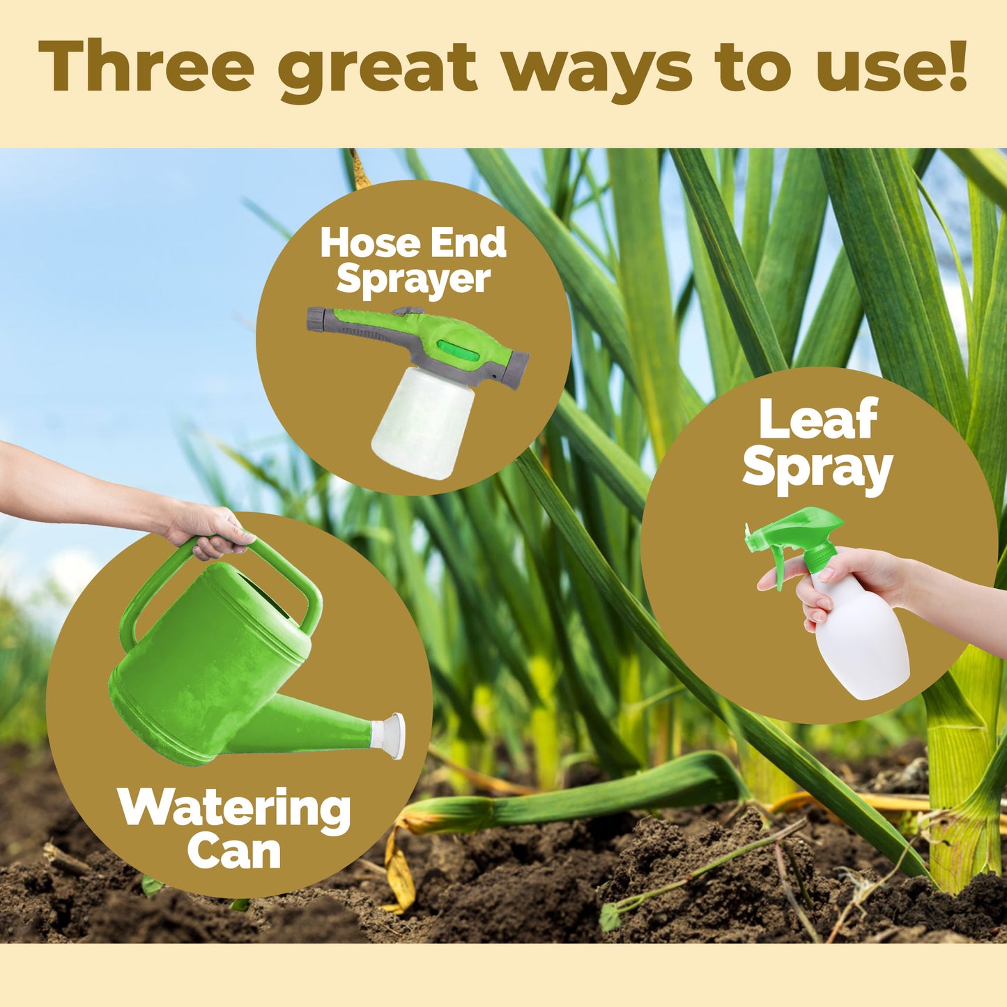Garlic Fertilizer