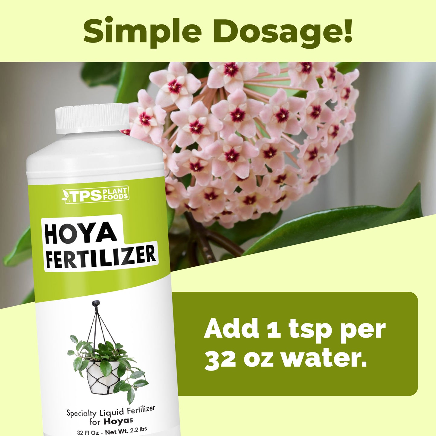 Hoya Fertilizer