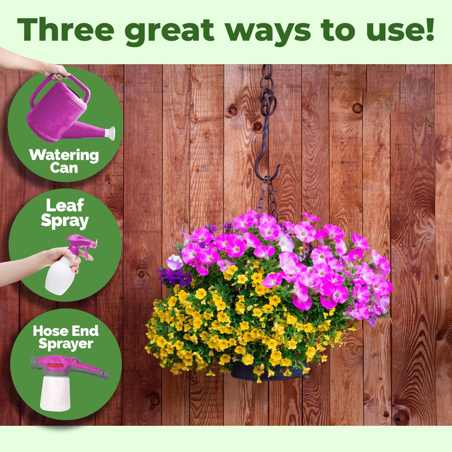 Hanging Basket Plant Food