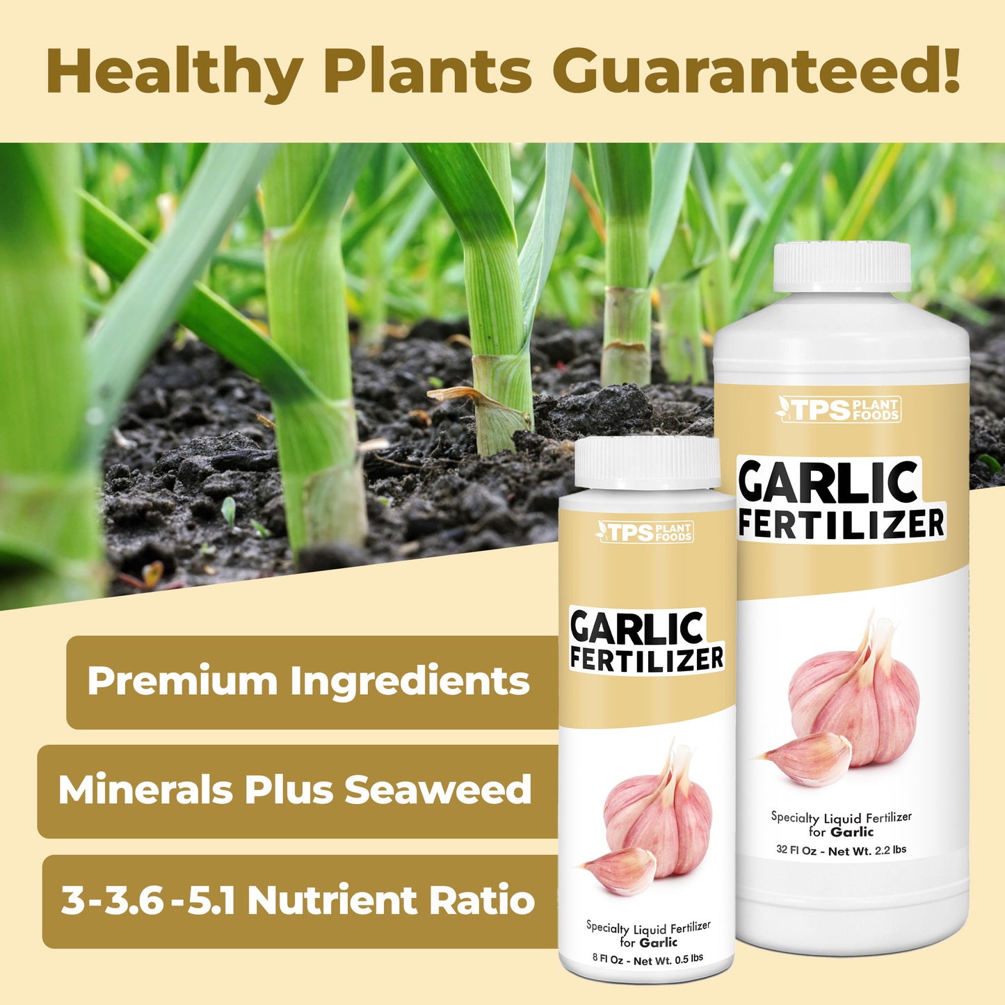 Garlic Fertilizer