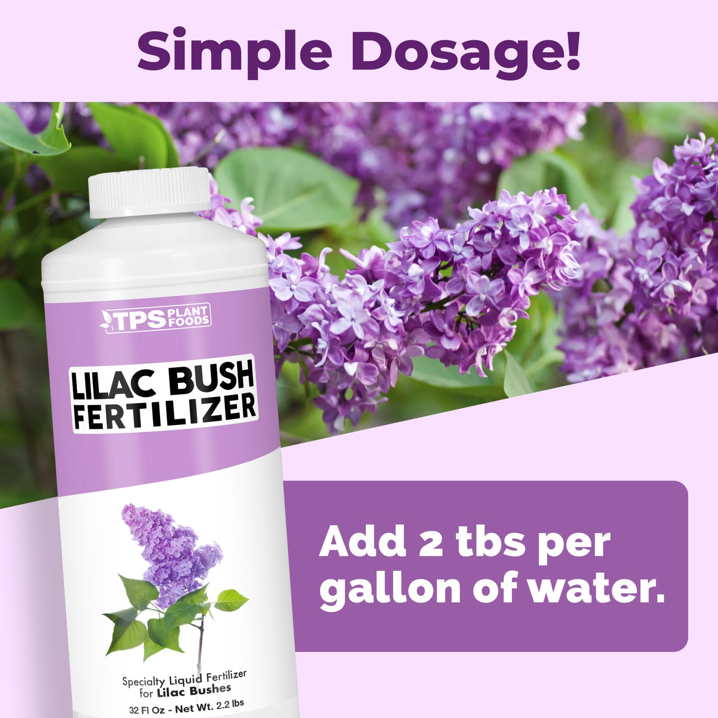 Lilac Bush Fertilizer