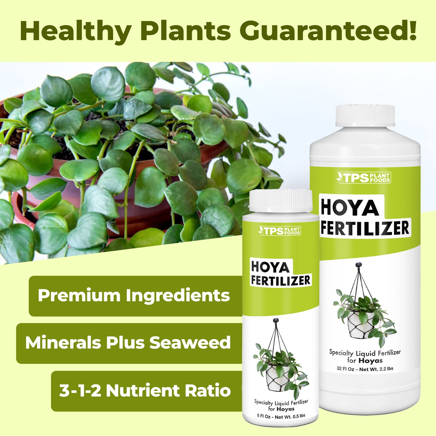 Hoya Fertilizer