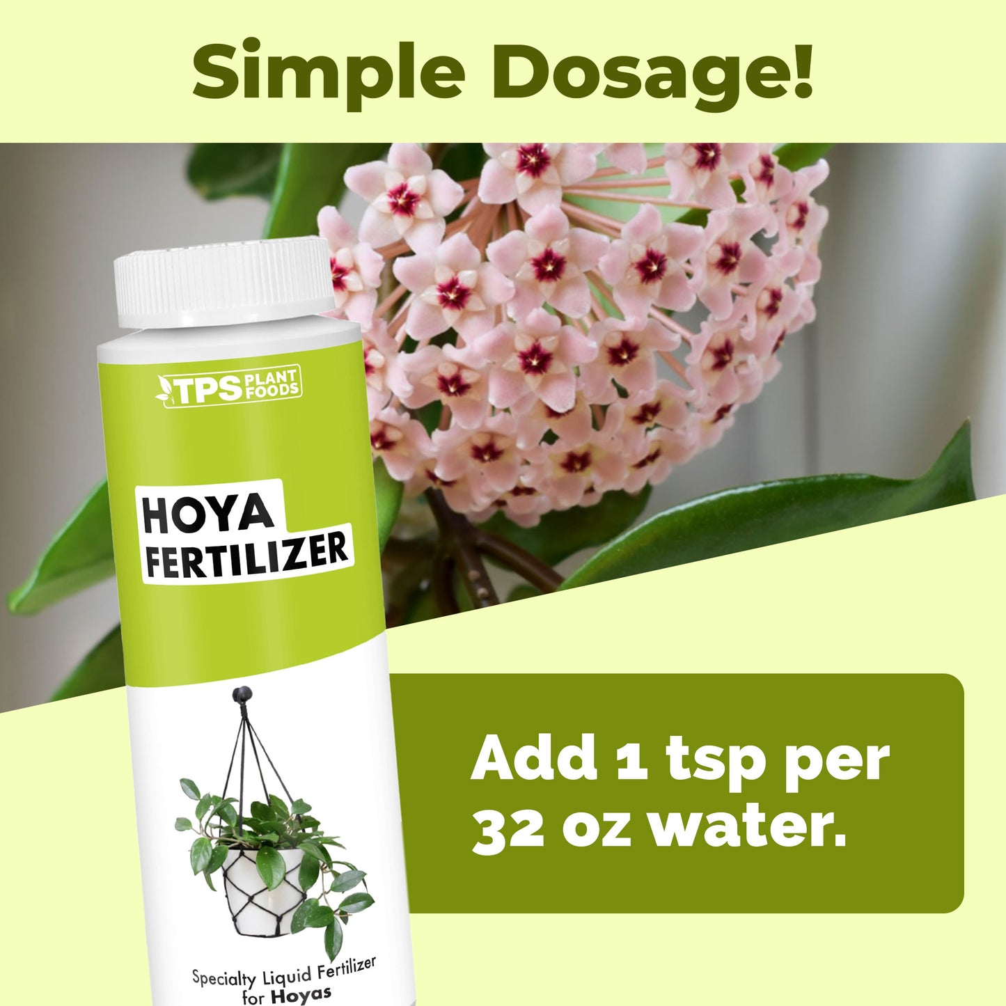 Hoya Fertilizer
