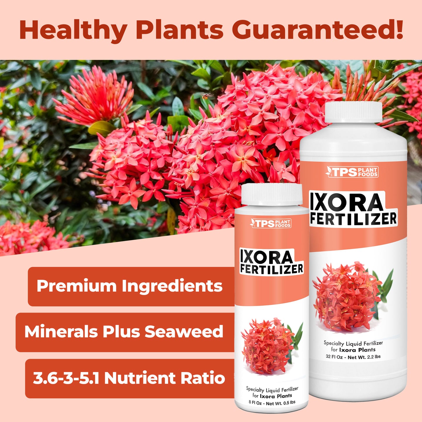 Ixora Fertilizer