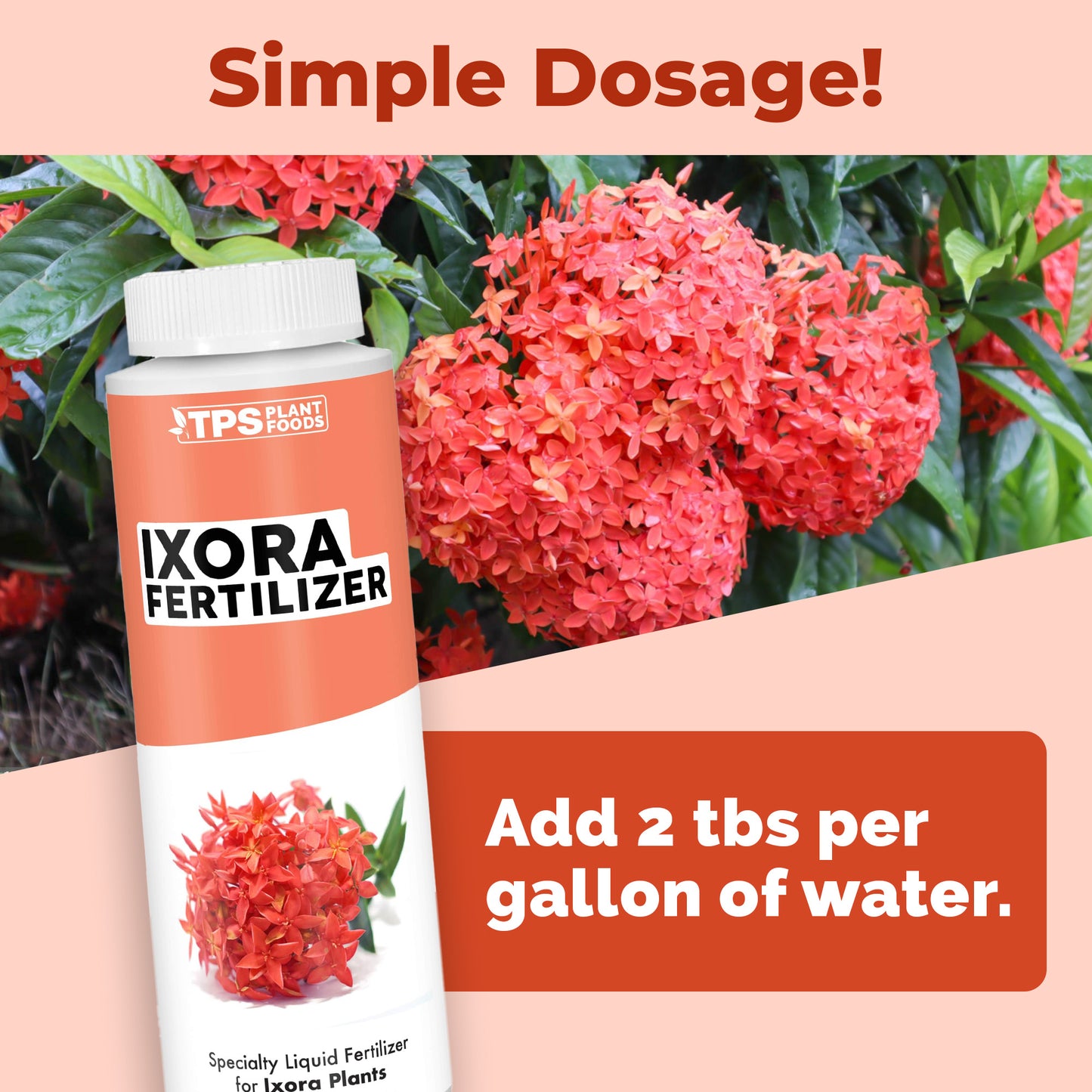 Ixora Fertilizer