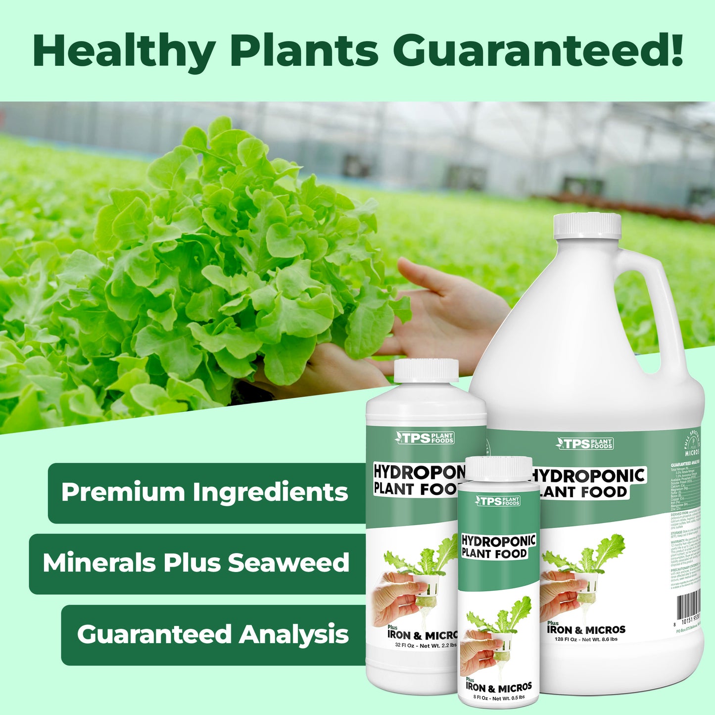 Hydroponic Plant Food