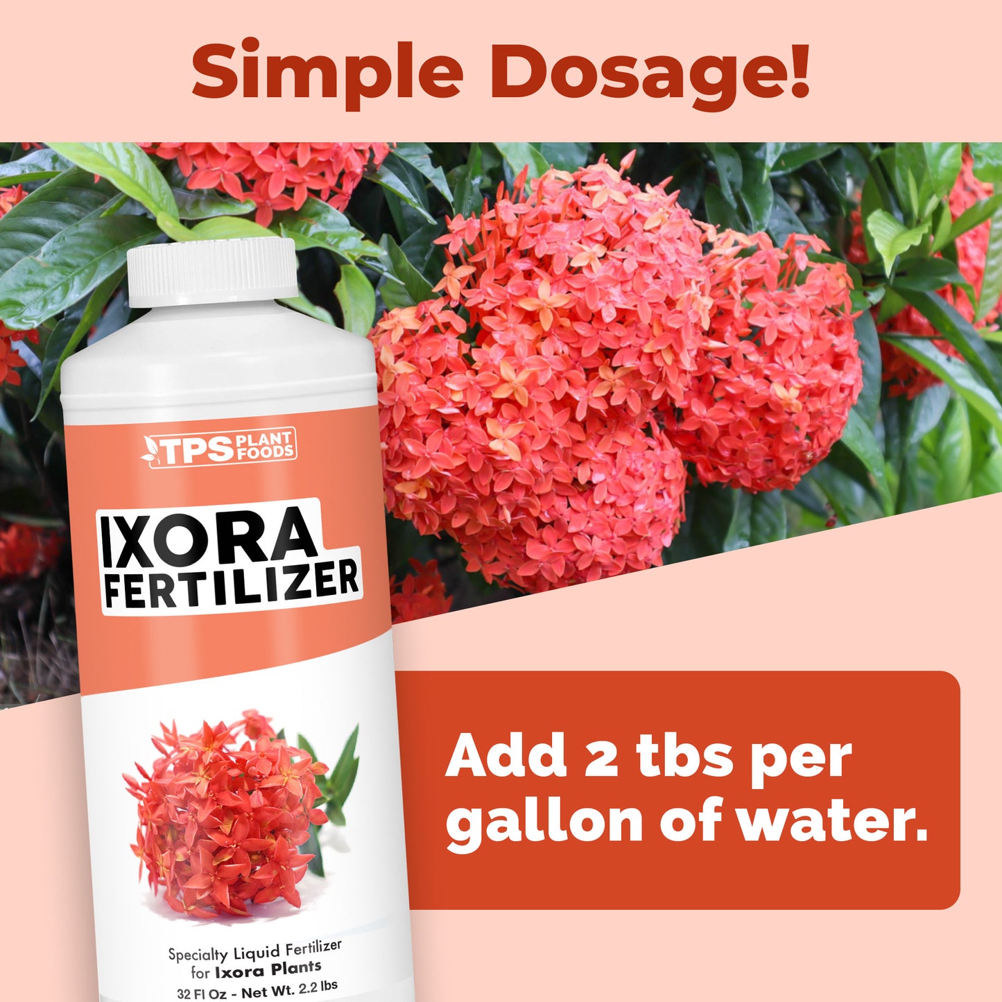 Ixora Fertilizer