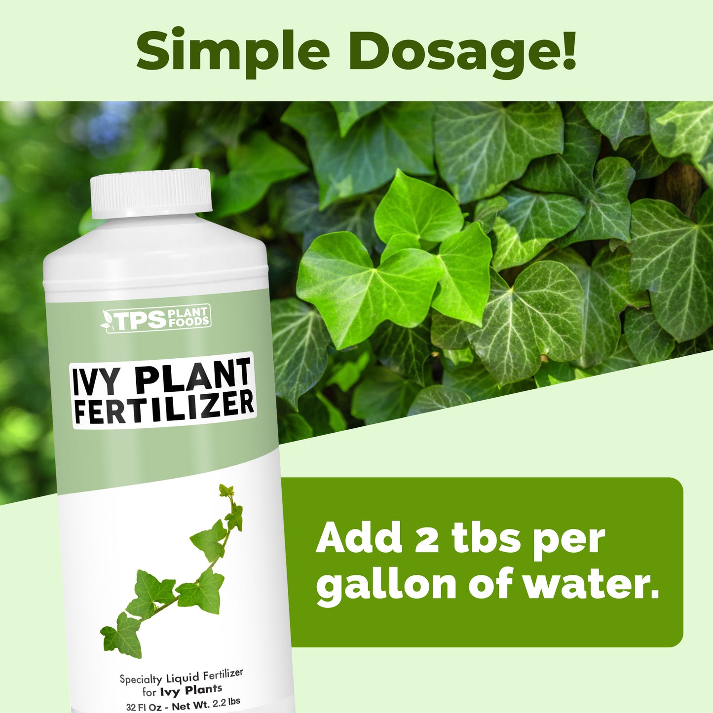Ivy Plant Food
