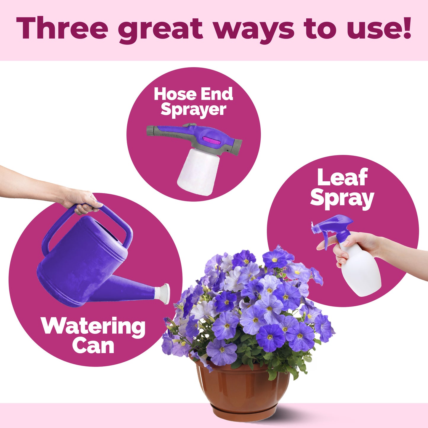 Petunia Fertilizer