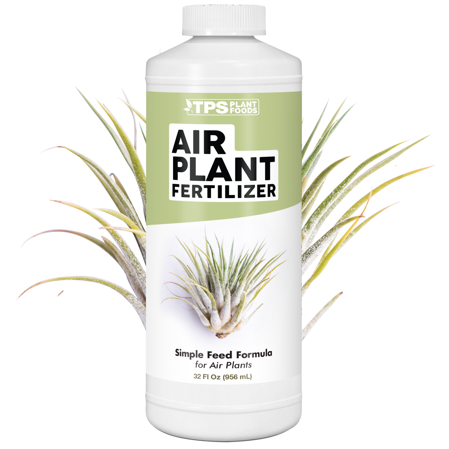 Air Plant Fertilizer