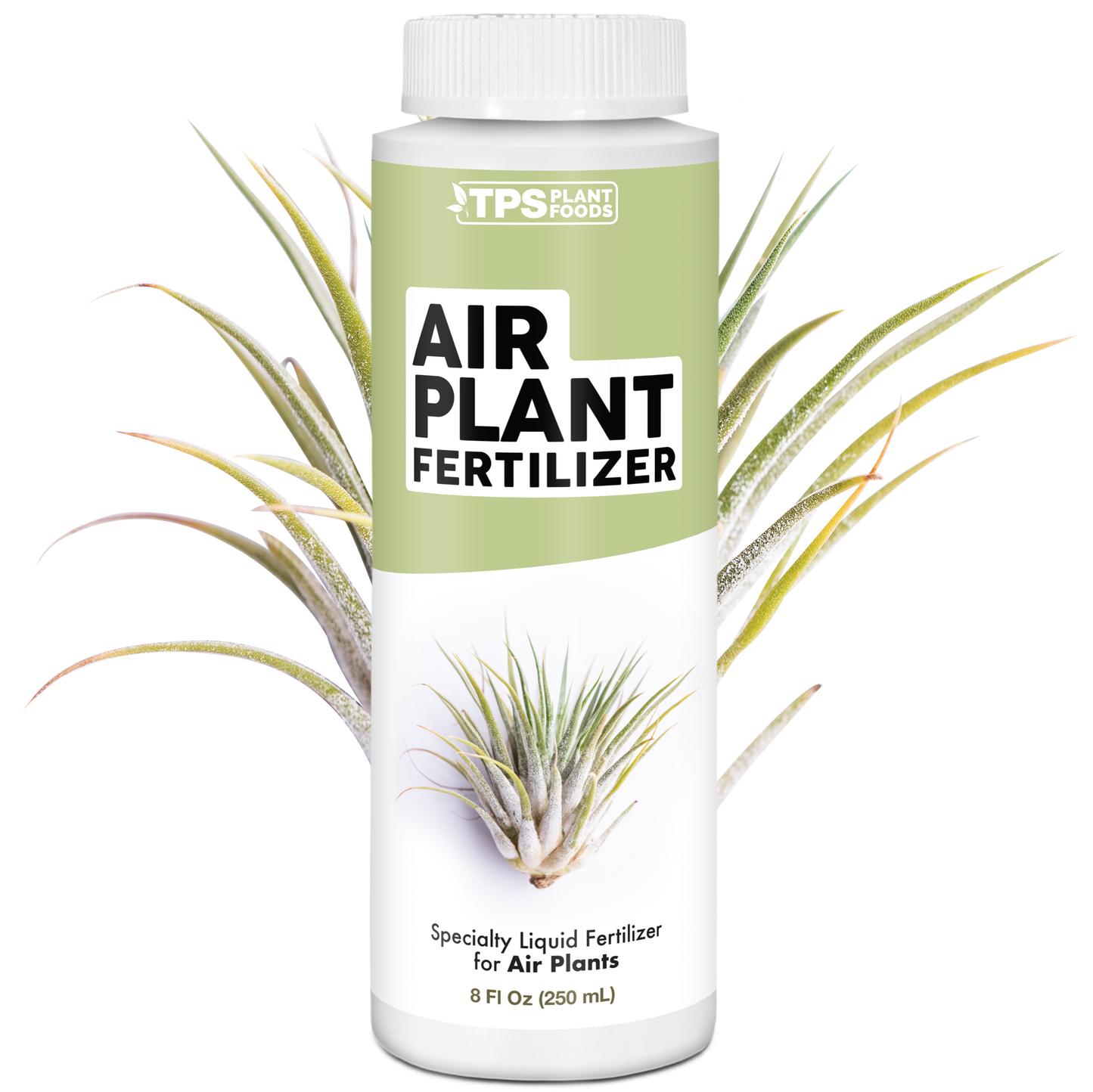 Air Plant Fertilizer